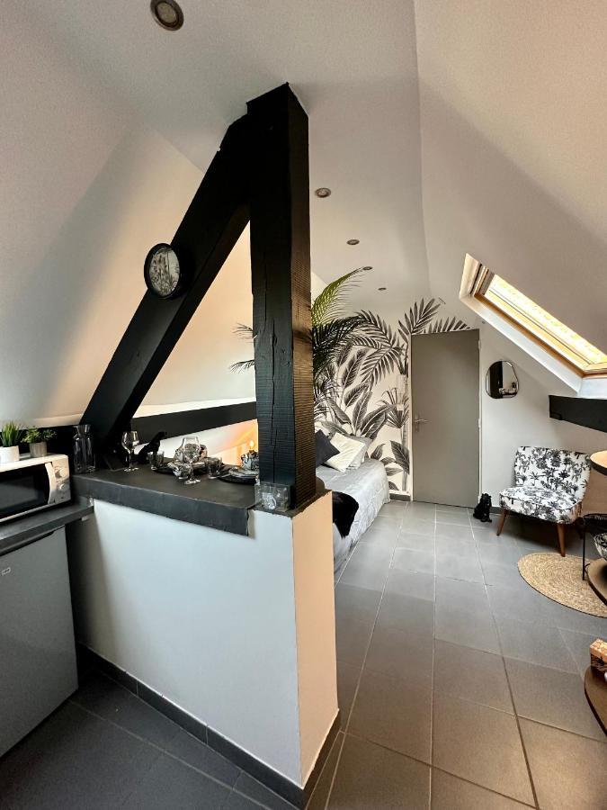 Studio Chaleureux Hypercentre Amiens Exteriör bild